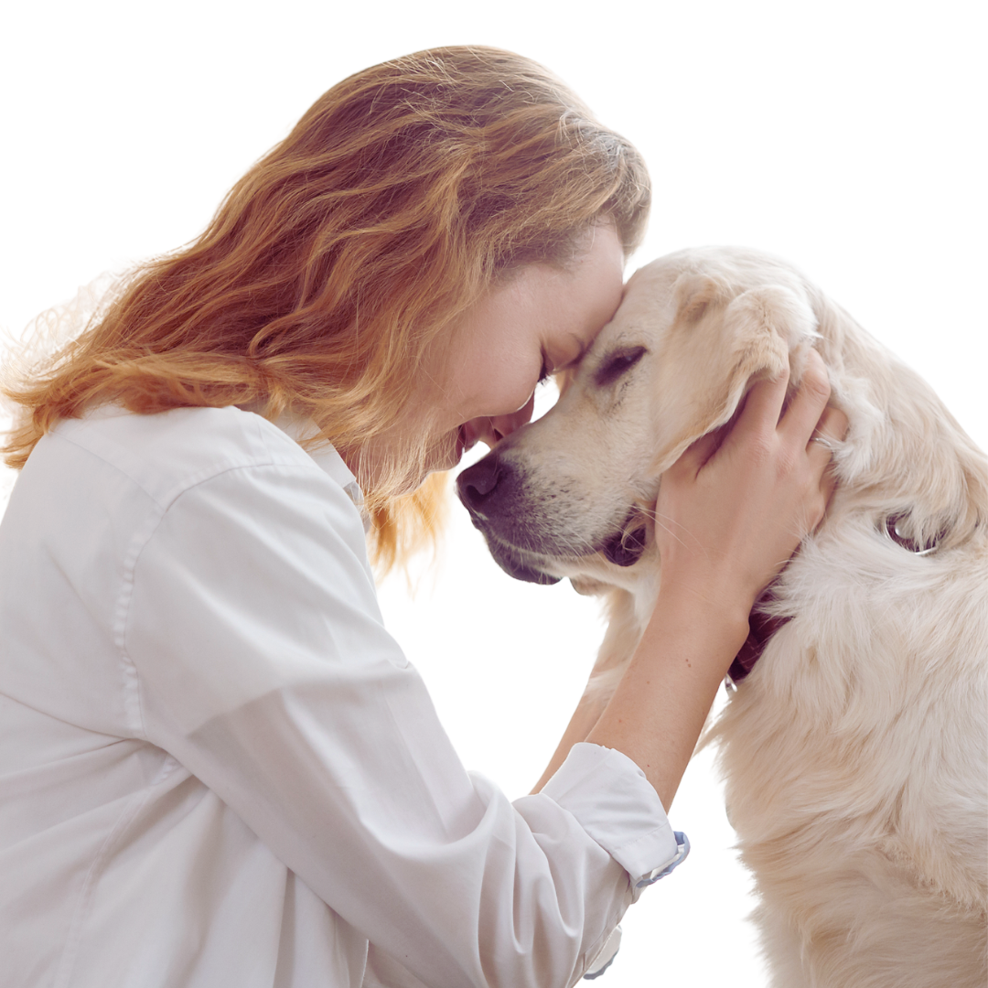 Cremación Presencial de mascotas