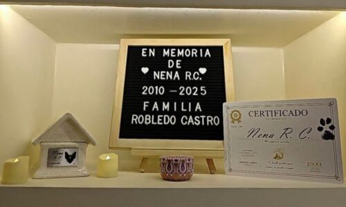 URNA | VELA | CERTIFICADO
