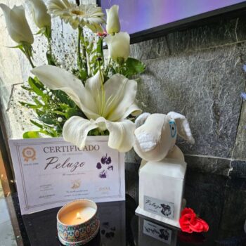 CremacionPresencialMascotasCDMX