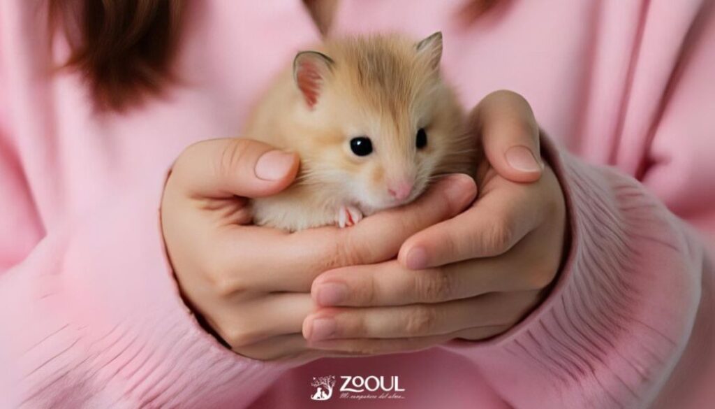 Cremacion de roedores