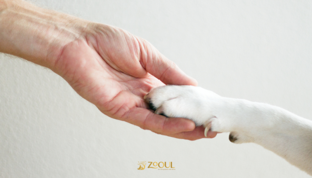 crematorioseguroCDMX