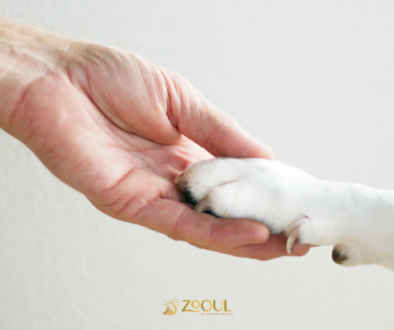 crematorioseguroCDMX