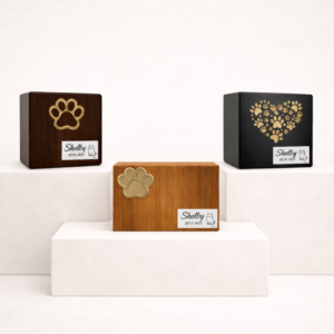 MDF